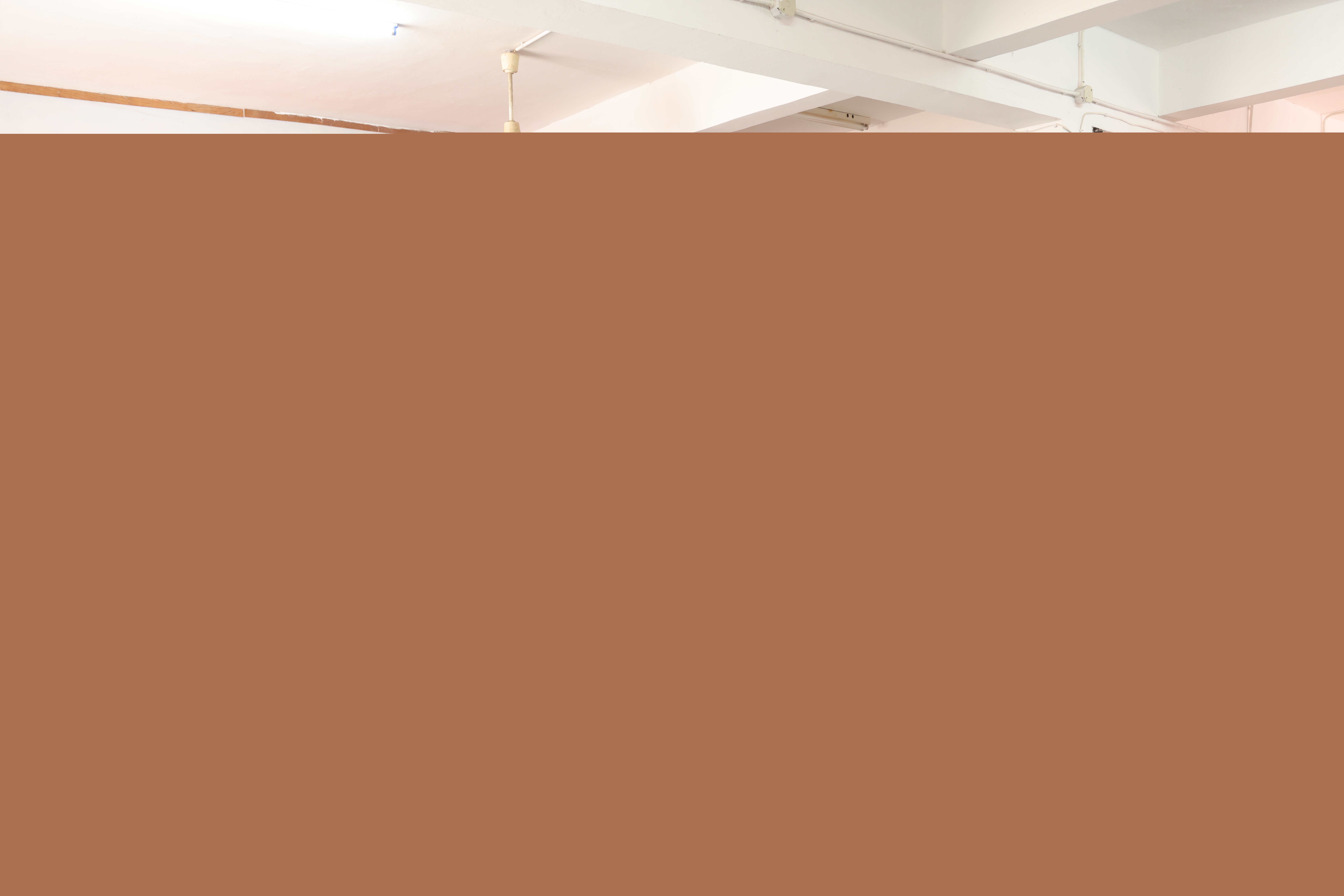 義務(wù)獻(xiàn)血 (4).jpg